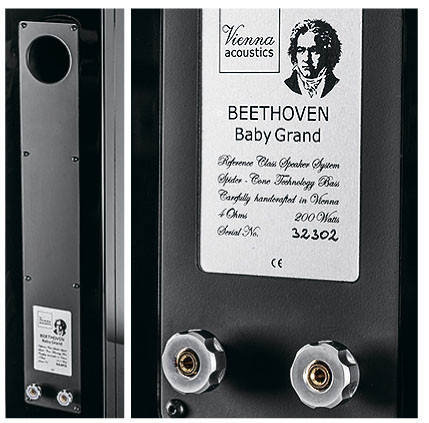 Обзор колонок Vienna Acoustics Beethoven Baby Grand Symphony Edition: Музыкальные специалисты из Вены