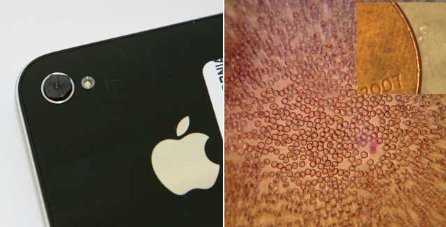 Как превратить iPhone в мощный микроскоп всего за $50