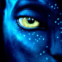 Пиратская копия 