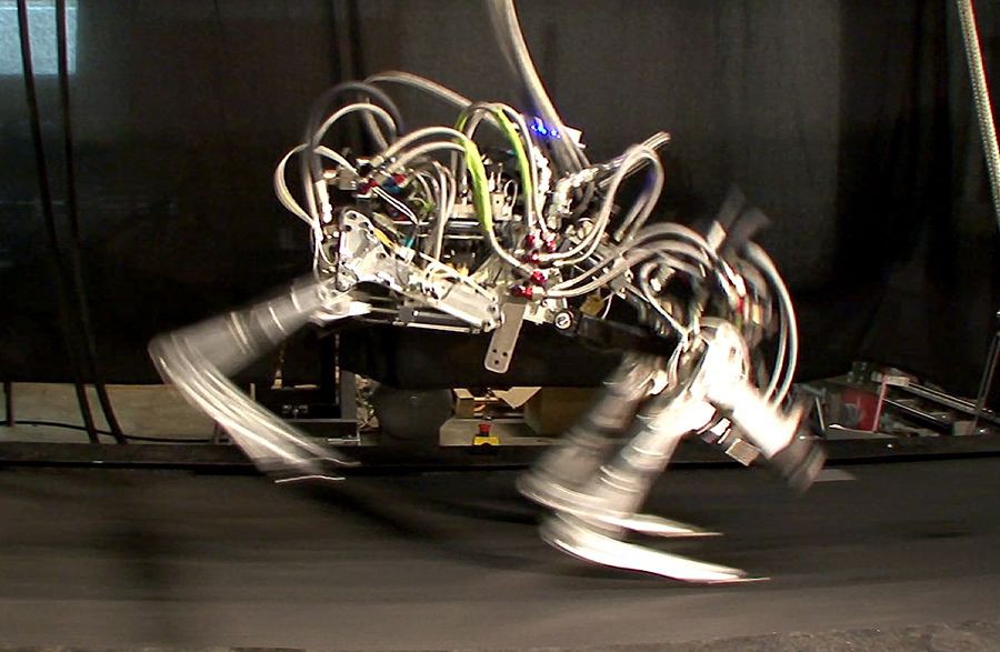 Железный гепард поставил рекорд скорости бега среди четырехногих роботов