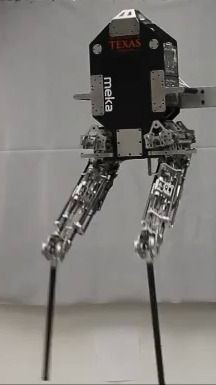 Двуногий робот Hume сможет бегать по пересеченной местности не хуже человека
