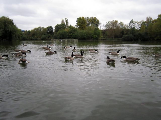 Самые доступные камеры