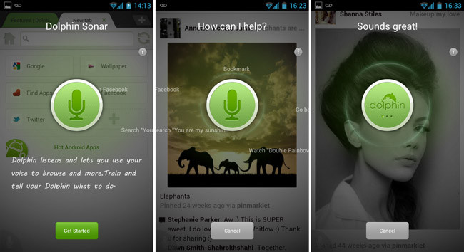 Dolphin Browser для Android обзавелся голосовым управлением