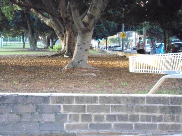 Самые доступные камеры