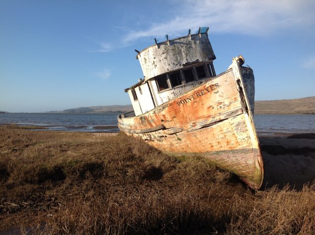 Новый iPad фотографирует не хуже «цифромыльницы»: примеры снимков и видео картинка Новый iPad фотографирует не хуже «цифромыльницы»: примеры снимков и видео