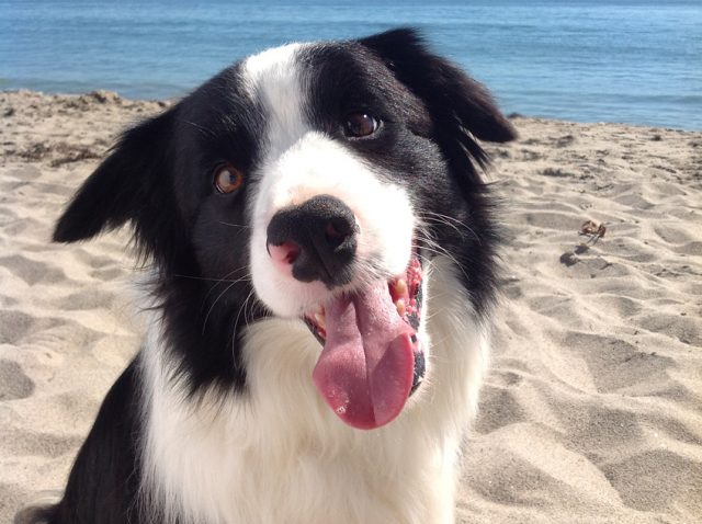 Новый iPad фотографирует не хуже «цифромыльницы»: примеры снимков и видео картинка Новый iPad фотографирует не хуже «цифромыльницы»: примеры снимков и видео