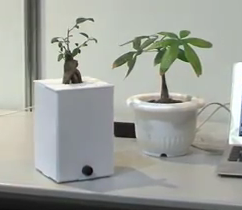 Японцы научили растения выражать эмоции