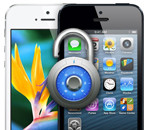 Обнародованы цены на разлоченные «Айфоны» в США