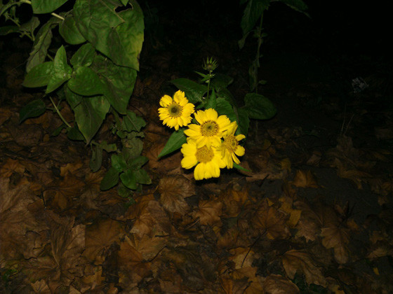 Опыт эксплуатации смартфона HTC Titan 