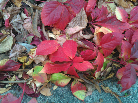 Опыт эксплуатации смартфона HTC Titan 