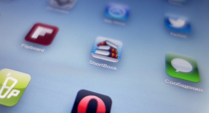 iPad mini: мал, удал, полезен