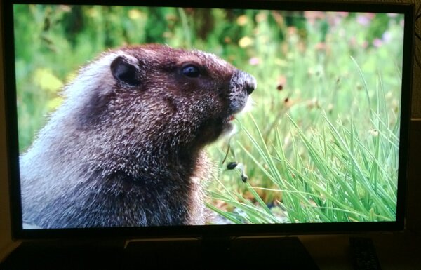 Обзор Смартфона Acer Cloud S500