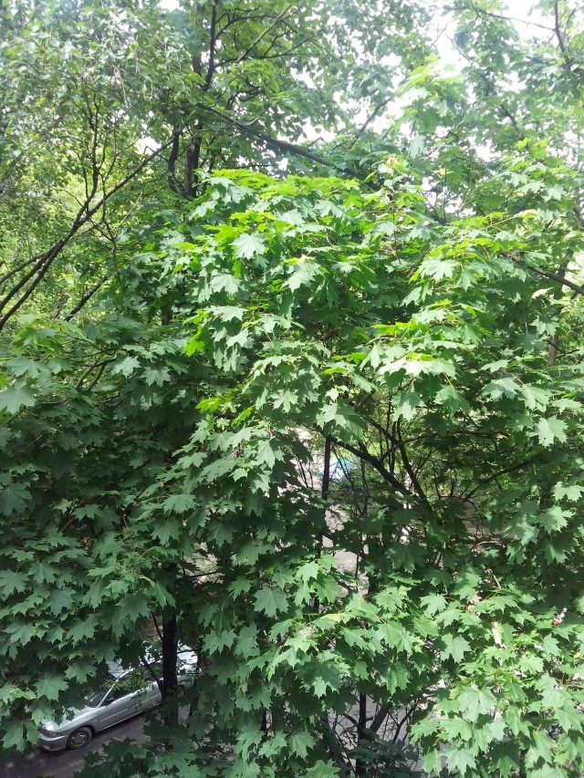 Alcatel One Touch Idol Ultra: бюджетник, изображающий флагмана