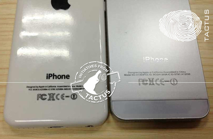 Появились фотографии смартфона iPhone Lite