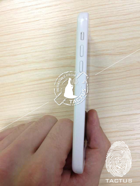 Появились фотографии смартфона iPhone Lite