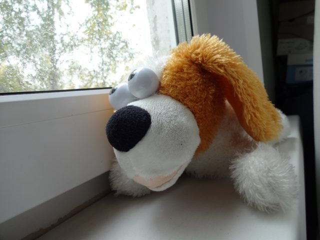 Смартограф Sony DSC-QX10: когда смартфон превращается в фотоаппарат