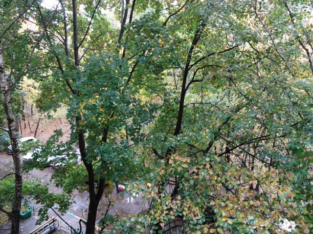 Смартограф Sony DSC-QX10: когда смартфон превращается в фотоаппарат