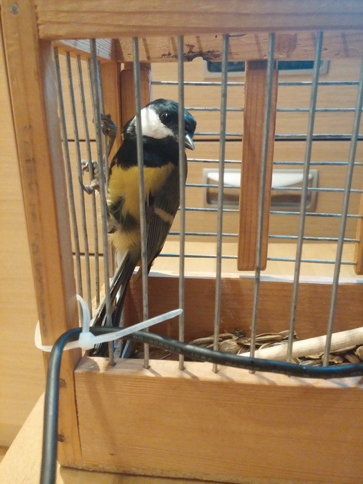 LG G2: снаружи и внутри нового корейского флагмана