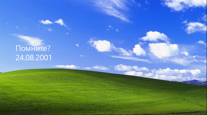 Windows XP: за полгода до похорон