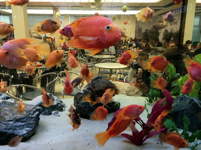 LG G2: снаружи и внутри нового корейского флагмана