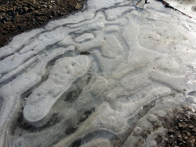 Большой тест лучших камерофонов образца 2013 года