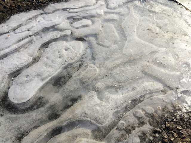 Большой тест лучших камерофонов образца 2013 года