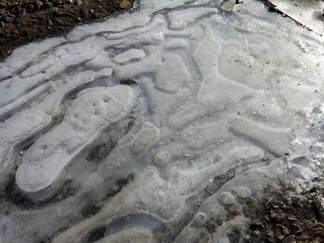 Большой тест лучших камерофонов образца 2013 года