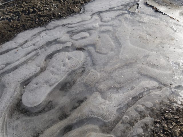 Большой тест лучших камерофонов образца 2013 года