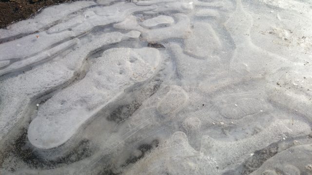 Большой тест лучших камерофонов образца 2013 года