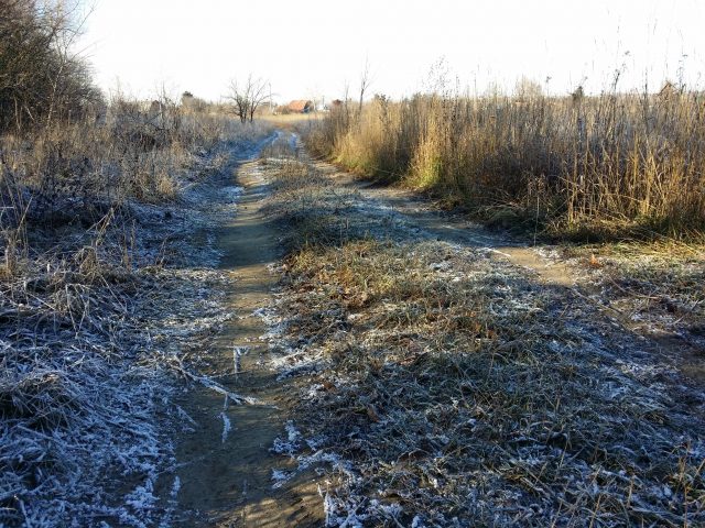 Большой тест лучших камерофонов образца 2013 года