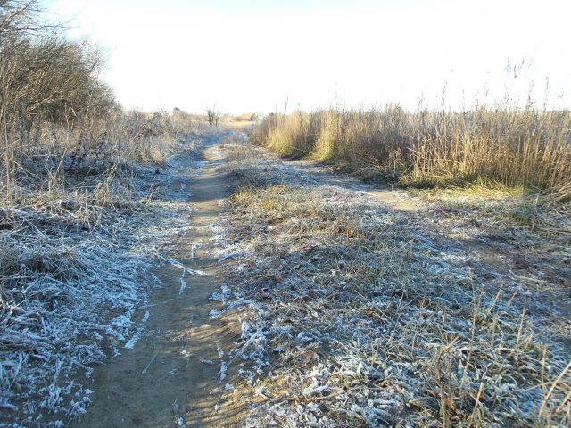 Большой тест лучших камерофонов образца 2013 года