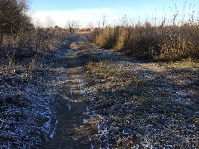 Большой тест лучших камерофонов образца 2013 года