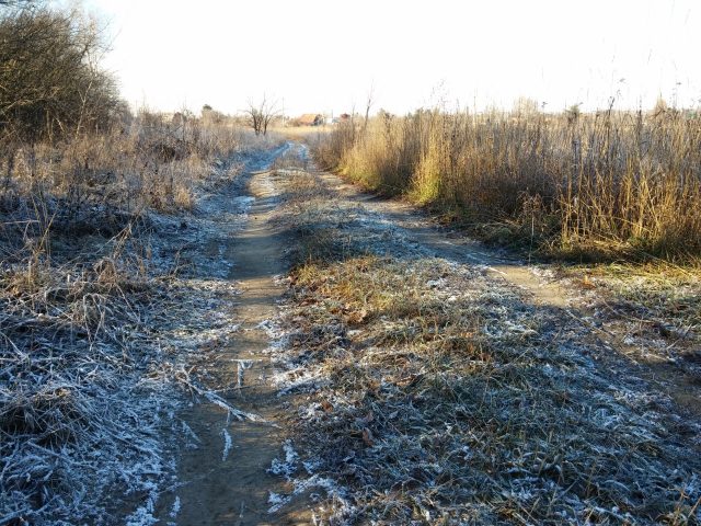 Большой тест лучших камерофонов образца 2013 года