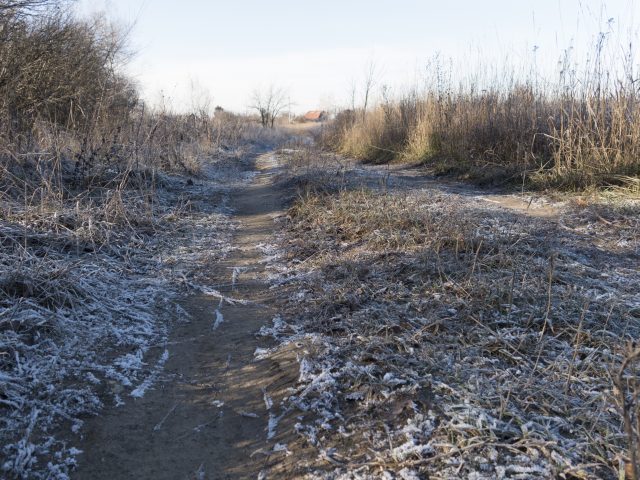 Большой тест лучших камерофонов образца 2013 года