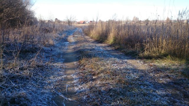 Большой тест лучших камерофонов образца 2013 года