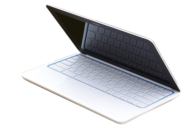 Хромбуки – виток эволюции?