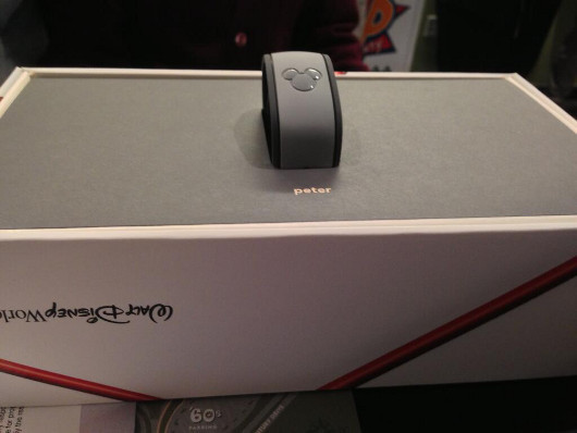 Волшебные браслеты Диснейленда