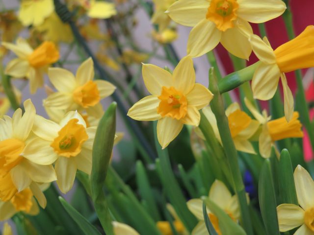 Высший уровень