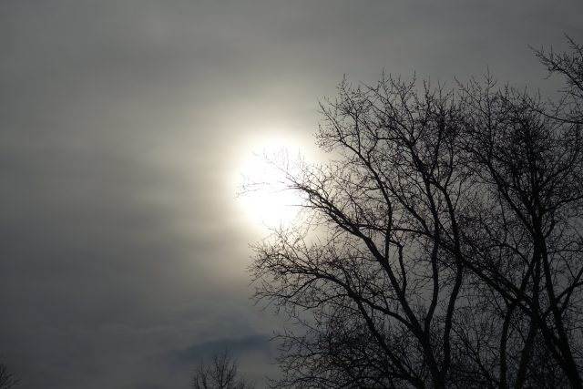 Высший уровень