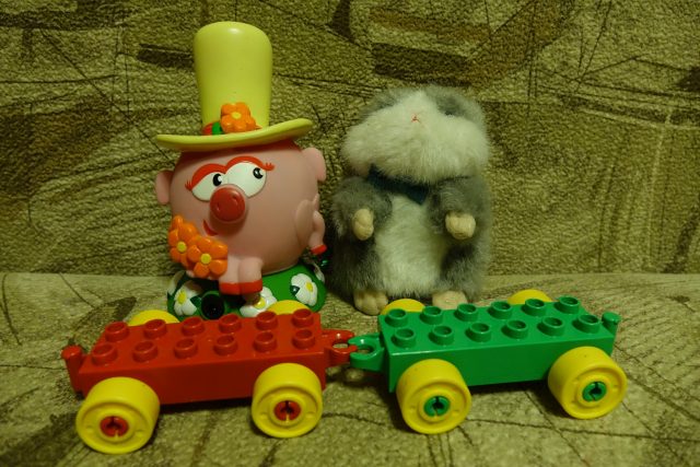 Обзор фотокамер, рассчитанных на опытных фотолюбителей: Высший уровень фото