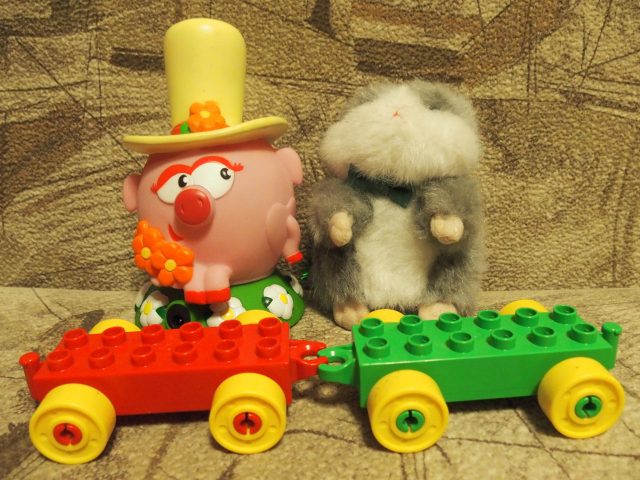 Обзор фотокамер, рассчитанных на опытных фотолюбителей: Высший уровень фото