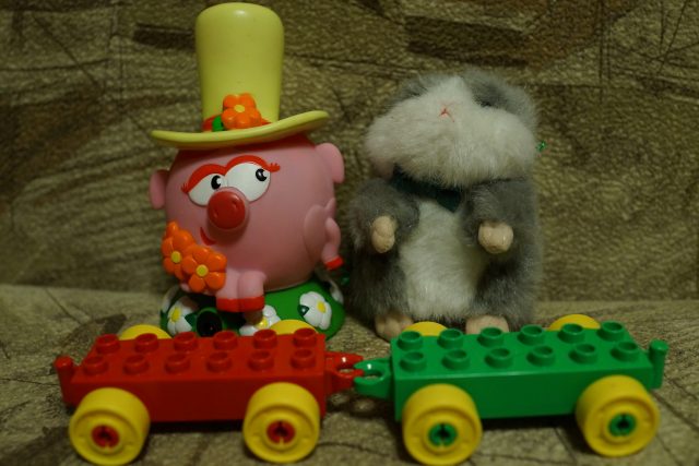 Обзор фотокамер, рассчитанных на опытных фотолюбителей: Высший уровень фото