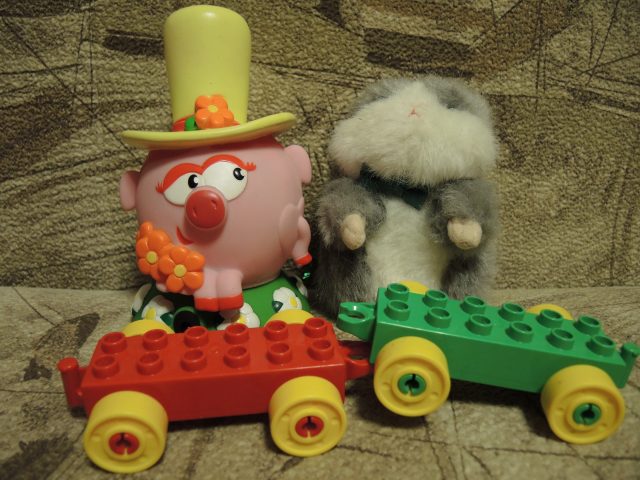 Обзор фотокамер, рассчитанных на опытных фотолюбителей: Высший уровень фото