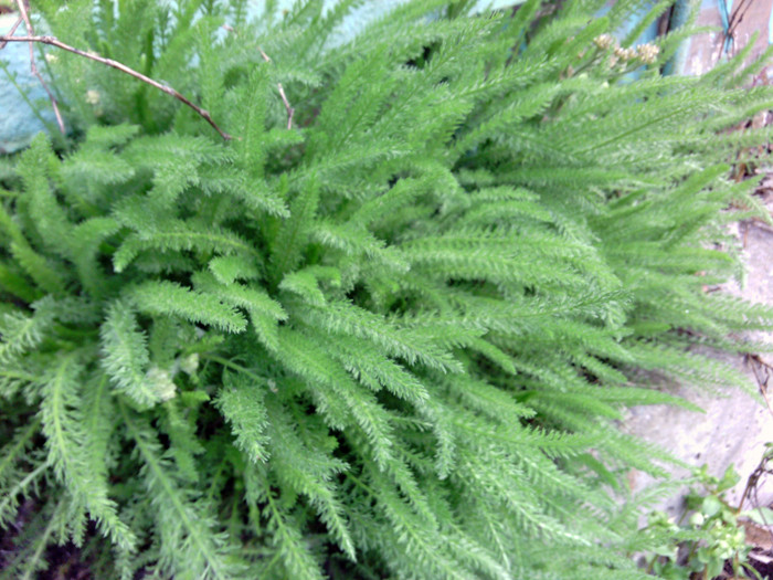 Обзор Motorola Defy Pro – защищенного ретро-смартфона с QWERTY-клавиатурой 