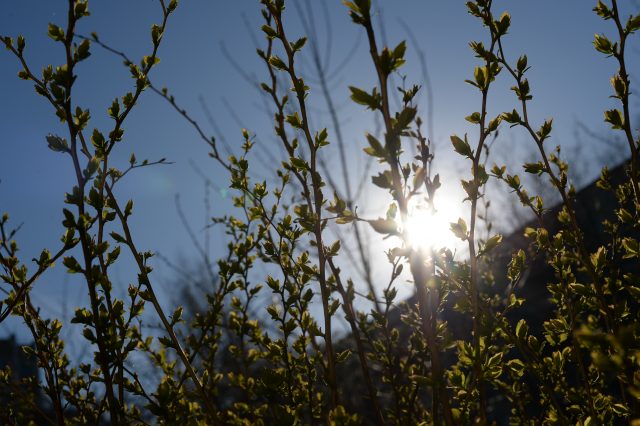 Поклонникам классики