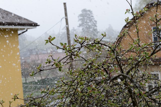 Поклонникам классики