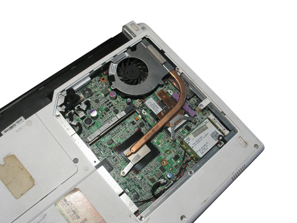 Жара не помеха