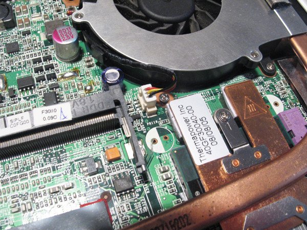 Жара не помеха