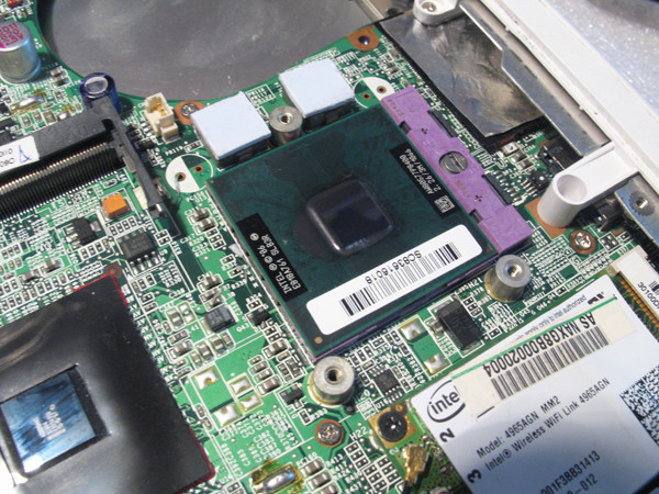 Жара не помеха