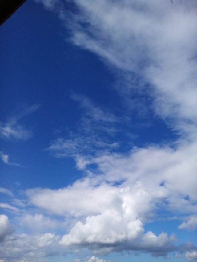 Haier W852. Подкрепление в полку бюджетных смартфонов